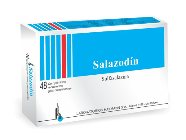 Imagen de SALAZODIN 500 mg [48 comp.]