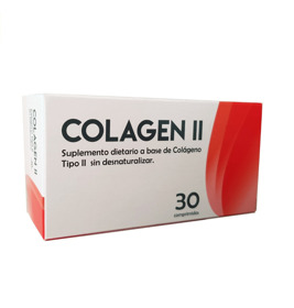 Imagen de COLAGEN II [30 comp.]