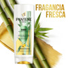 Imagen de PANTENE AC. BAMBU [200 ml]