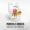 Imagen de PANTENE SH. MICELAR+AC. PACK [400+200ml]