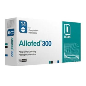 Imagen de ALLOFED 300 300 mg [14 comp.]