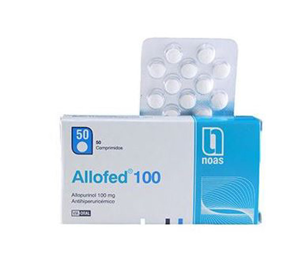 Imagen de ALLOFED 100 100 mg [50 comp.]