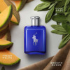 Imagen de RALPH LAUREN POLO BLUE EDT+EDT+AFTER SHAVE+GEL DUCHA COFRE [125+40+50+50ml]