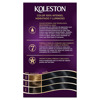 Imagen de KOLESTON KIT NEGRO 20 [50gr+50+40+22ml]