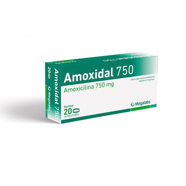 Imagen de AMOXIDAL 750 MG X 20 COMP.
